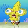 stuartmacleod993 - @stuartmacleod993 - TikTok