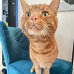 Stuart J Mahoney - @stuartjmahoney - Instagram