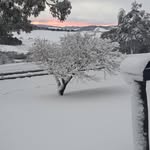 Stuart May - @stuartjmay - Instagram