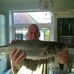 Stuart May - Facebook