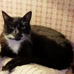 Stuart May - @stuart.may.752 - Instagram