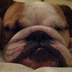 Stuart McDowell - @stuartmcdowell - Instagram