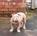 Stuart McFarlane - Facebook
