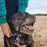 Stuart Gordon Mckee - @stootonfoot - Instagram