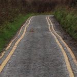 Stuart McLennan - @mclennan.stuart - Instagram