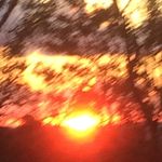 Stuart McLennan - @mclennan416 - Instagram