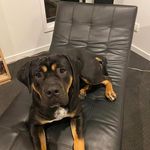 Stuart Mclennan - @stuart.mclennan.1426 - Instagram