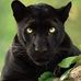 Stuart Mclennan - Facebook