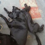 Stuart McMaster - @stuart.mcmaster.315 - Instagram