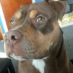 Stuart McNeill - @stuart.mcneill.121 - Instagram