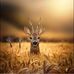 Stuart Melvin - Facebook