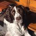 Stuart Melvin - Facebook
