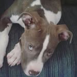 stuart miles - @stuartmiles123 - Instagram
