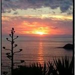 Stuart Millar - @stuart.millar.397 - Instagram