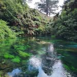 Stuart Mitchell - @stuart.mitchell.1420 - Instagram