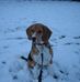 Stuart Morse - Facebook