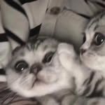 @stuartmorse198938 - Instagram