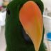 Stuart Mueller - Facebook