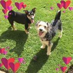Stuart Murphy - @stuart.murphy.1840 - Instagram