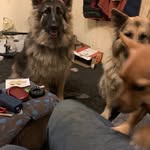 Stuart Nicholson - @stuartnicholson579 - Instagram