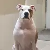 stuartnicholson141 - @stuartnicholson141 - TikTok