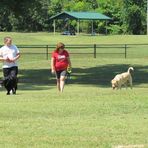 Stuart Nelson Dog Park - Facebook