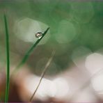Stuart Park - Facebook