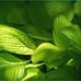 Stuart Parsons - Facebook
