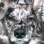 Stuart Payne - @stumpypayne - Instagram