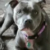 Stuart Payne - @stuart.payne2 - TikTok