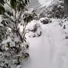 stuartpenman871 - @stuartpenman871 - TikTok