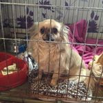 Piper Stuart - @piperstuart2004 - Instagram