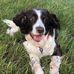Stuart Piper - Facebook