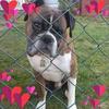 Stuart Mark Pollard - @stuart.mark.polla - TikTok