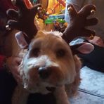 Stuart Pollard - Facebook