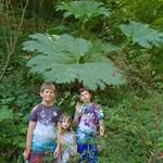 Stuart Poulter - @stuart.poulter.3 - Instagram