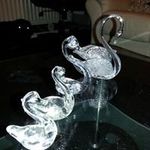 Stuart Powell - @stuart.powell.92 - Instagram