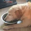 Stuart Procter - @stuart.procter - TikTok