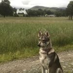 Stuart Reynolds - @stuartj.reynolds - Instagram
