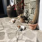 Stuart Riddle - @stuartriddle652 - Instagram