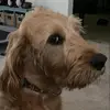 riley - @riley_stuart - TikTok