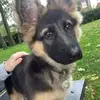 Stuart Riley - @stuart.riley2 - TikTok