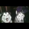 stuartriley605 - @stuartriley605 - TikTok