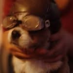 Stuart Rivera - @mavericklitle - Instagram