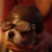 Stuart Rivera - Facebook
