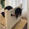 Stuart Rodriguez - @stuart.rodriguez0 - TikTok