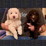 Stuart Rosner - @ejb757 - Instagram