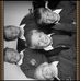 Stuart Rowe - Facebook