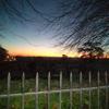 Stuart Rowe - @stuart.rowe0 - TikTok