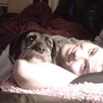 Stuart Ryan - @bluebearone.1 - Instagram